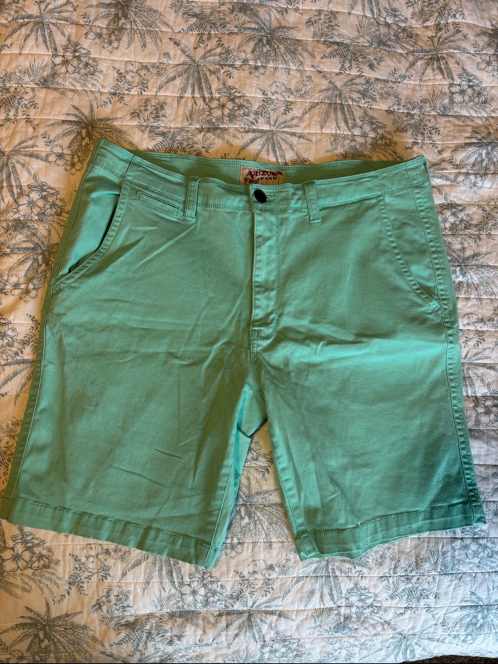 Arizona Jean Company Mint Green Flat Front Men’s Shorts